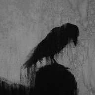 Raven